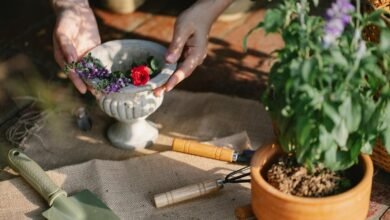 enhance growth with digital tools